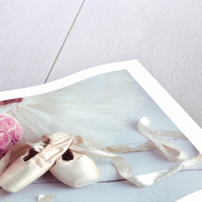 Ballet shoes and skirt by Assaf Frank